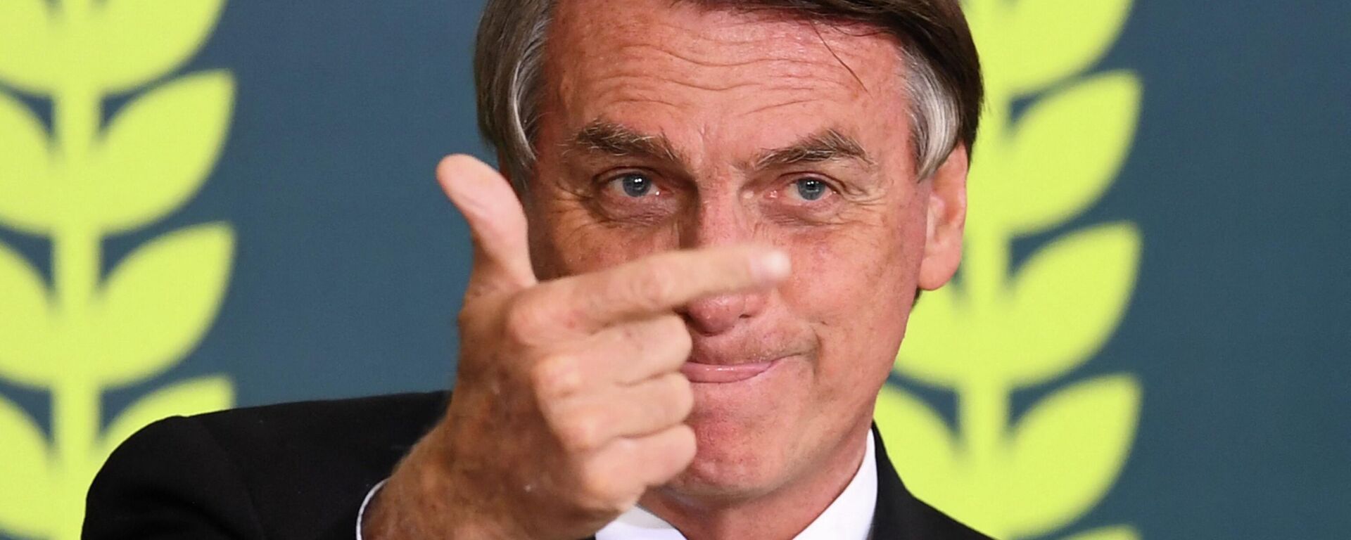 El presidente de Brasil, Jair Bolsonaro - Sputnik Mundo, 1920, 22.11.2022