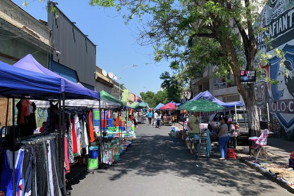 Un puesto de venta en el mercado de frutas Feria Libre de Santiago - Sputnik Mundo