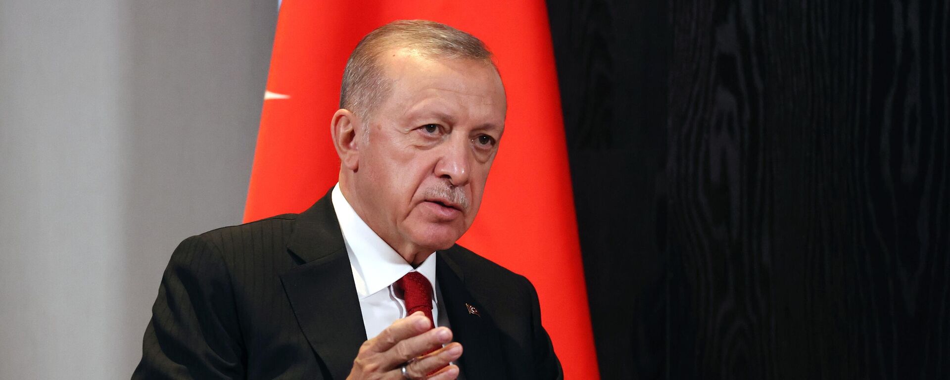 Recep Tayyip Erdogan, presidente de Turquía - Sputnik Mundo, 1920, 23.10.2024