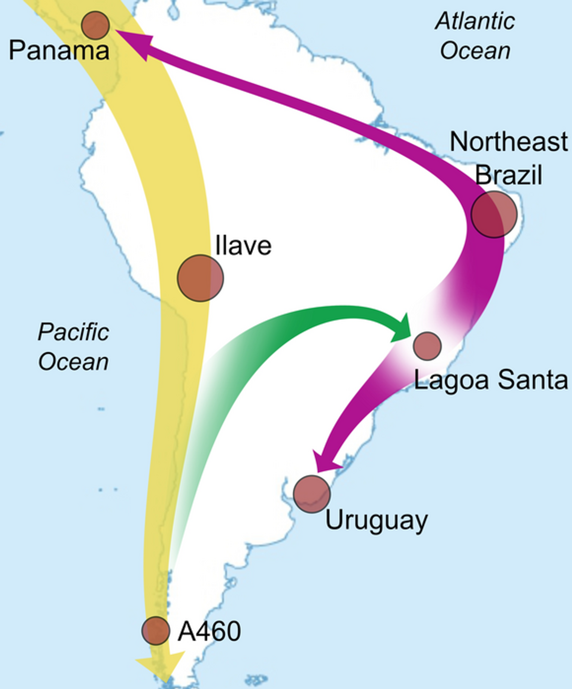 Mapa de migraciones del poblamiento temprano en Suramérica Mapa de migraciones del poblamiento temprano en Suramérica - Sputnik Mundo, 1920, 06.11.2022