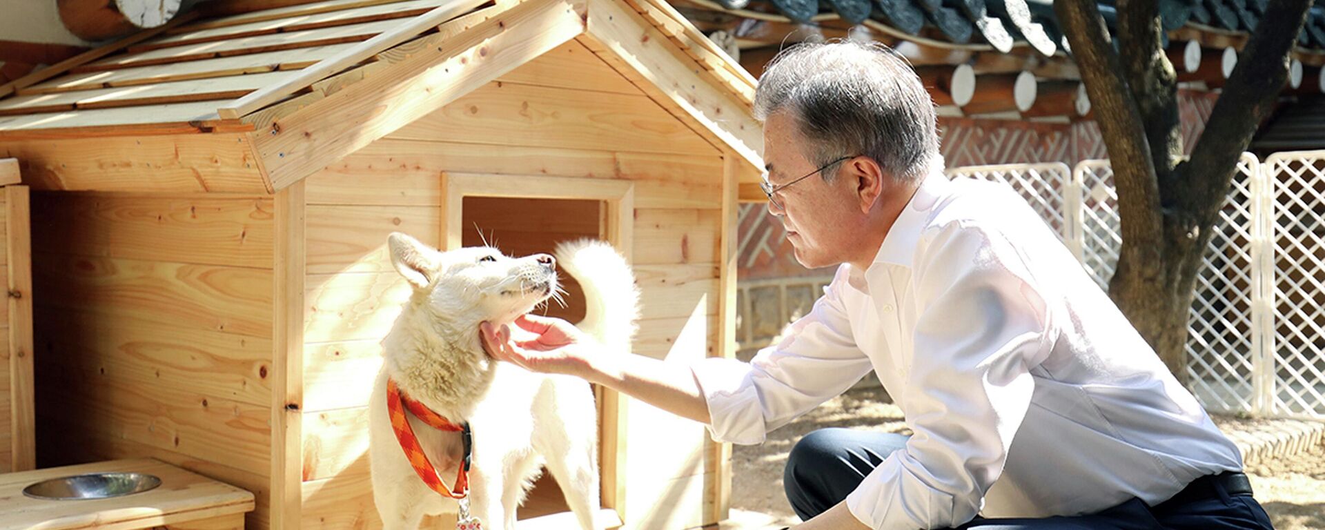 El exmandatario de Corea del Sur, Moon Jae-in, con un perro - Sputnik Mundo, 1920, 18.11.2023