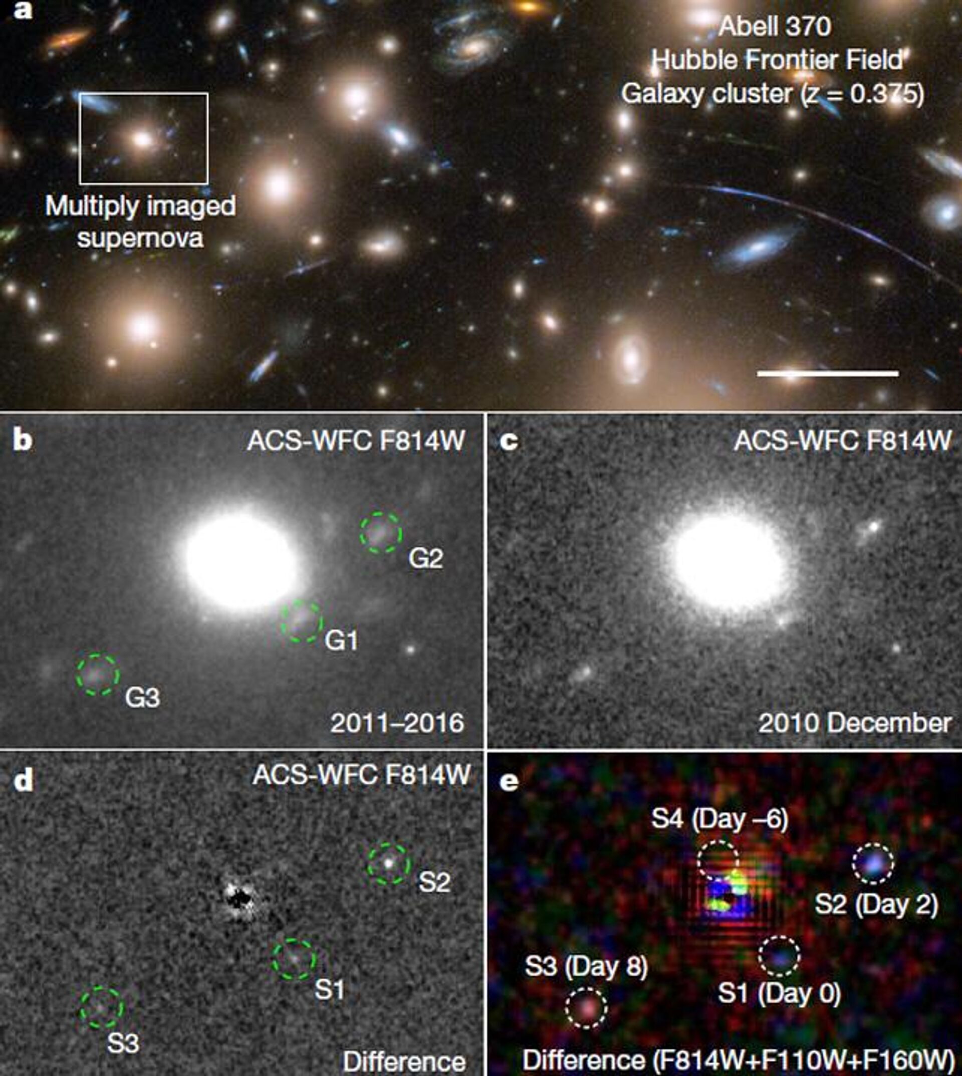 Imágenes de la supernova - Sputnik Mundo, 1920, 14.11.2022