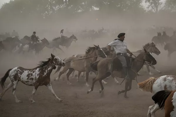 El festival atrae a vaqueros de todas las provincias pampeanas como Córdoba, Buenos Aires, Entre Ríos, Santa Fe, La Pampa y Corrientes. - Sputnik Mundo