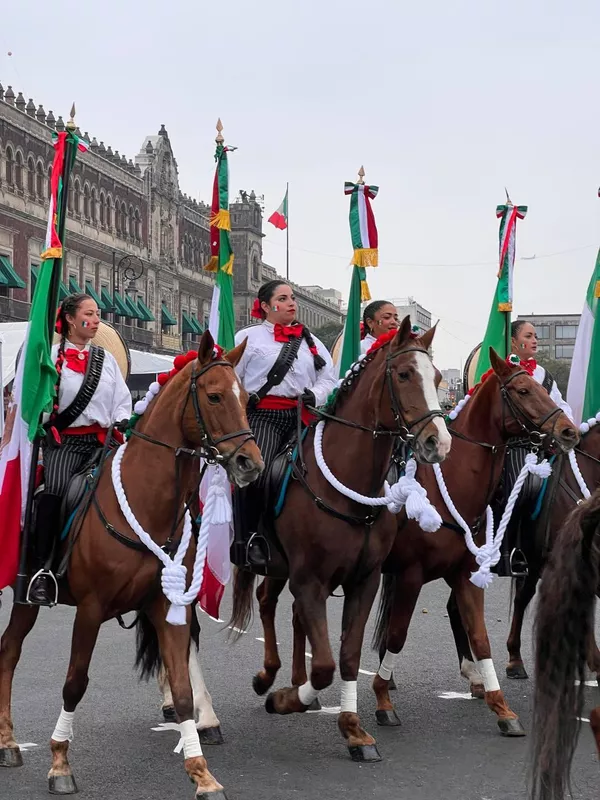 Por esta razón, en esa fecha las autoridades federales mexicanas organizan un desfile alusivo a la lucha armada, en la que participaron campesinos, fuerzas a caballo, elementos del Ejército y otros guerrilleros, en demanda de la reconfiguración de la política nacional. Por esta razón, en esa fecha las autoridades federales mexicanas organizan un desfile alusivo a la lucha armada, en la que participaron campesinos, fuerzas a caballo, elementos del Ejército y otros guerrilleros, en demanda de la reconfiguración de la política nacional. - Sputnik Mundo