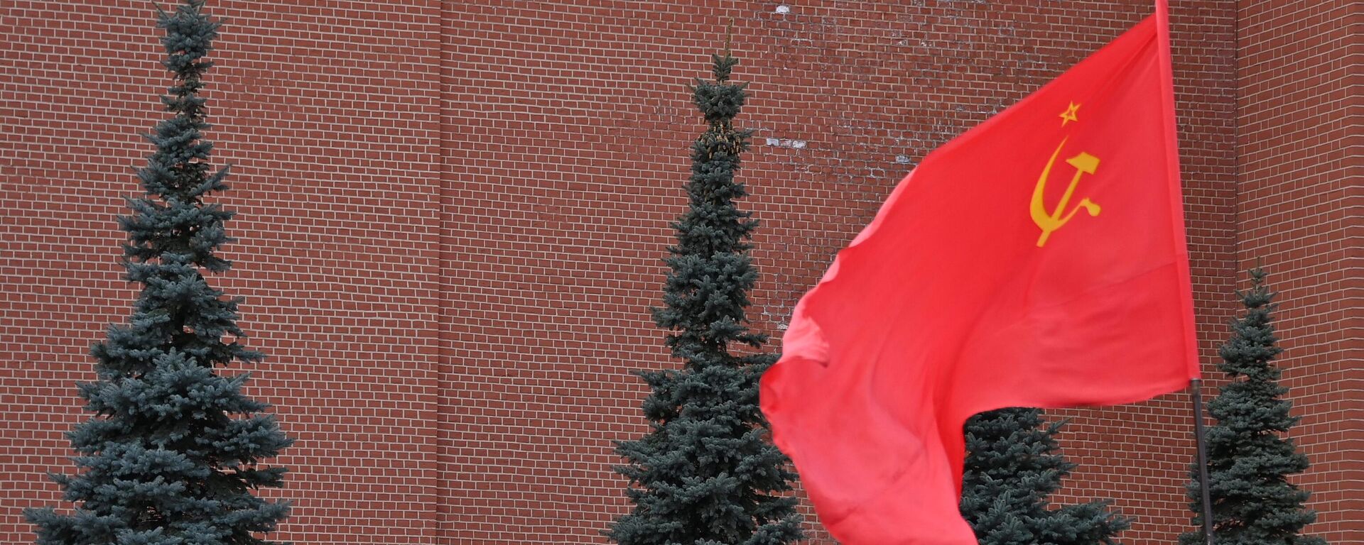 La bandera de la URSS - Sputnik Mundo, 1920, 23.11.2022