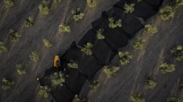 Campos de aceitunas en España - Sputnik Mundo