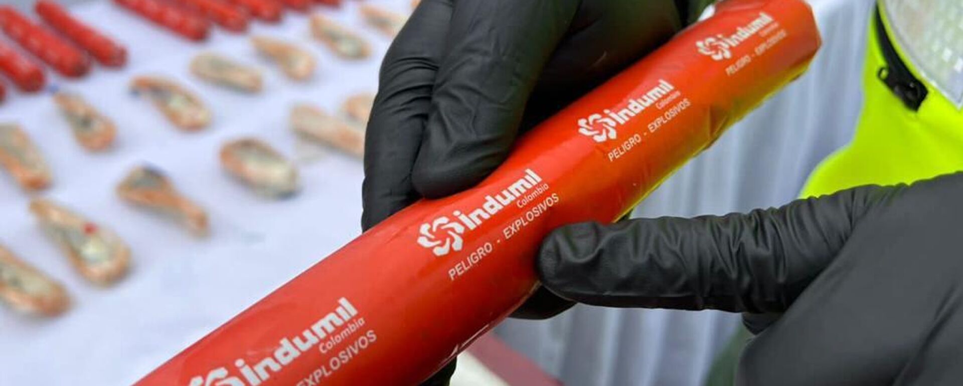 Fuerza Armada venezolana incauta explosivos en la frontera con Colombia Fuerza Armada venezolana incauta explosivos en la frontera con Colombia - Sputnik Mundo, 1920, 29.11.2022