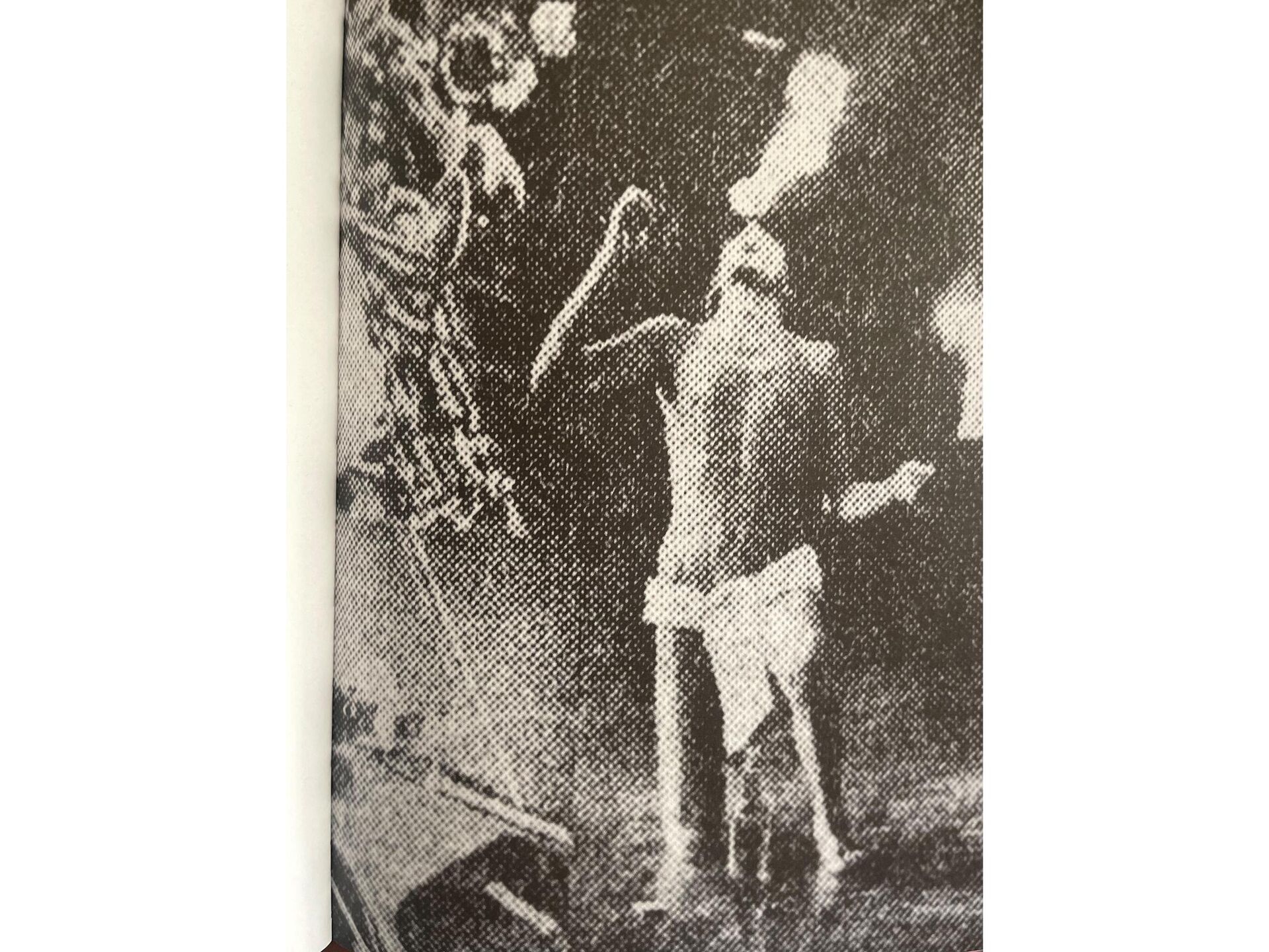 Fuente Excélsior, 5 de diciembre 1971 Imaginable que esto fue en Bellas Artes (página 252 del libro PROMETEO-71, Trilce Ediciones, 2022) - Sputnik Mundo, 1920, 04.12.2022