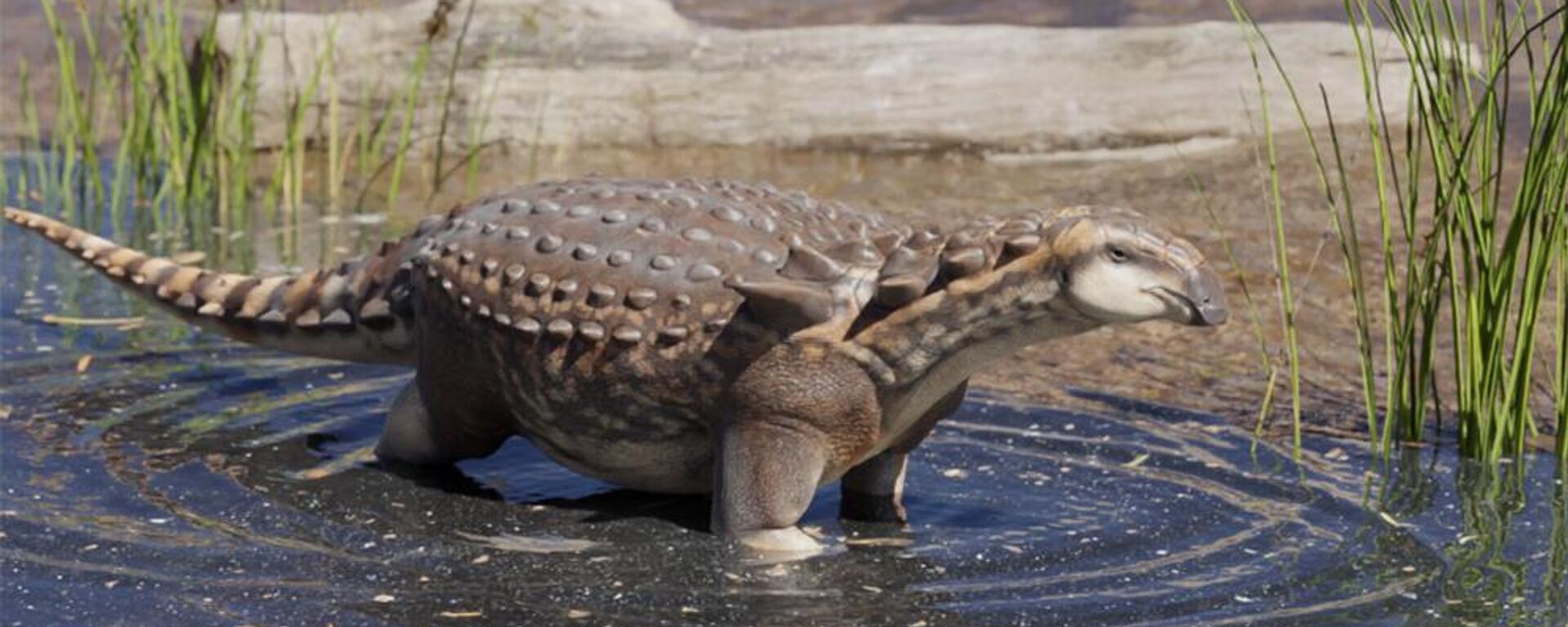 Reconstrucción digitalizada de Patagopelta - Sputnik Mundo, 1920, 06.12.2022