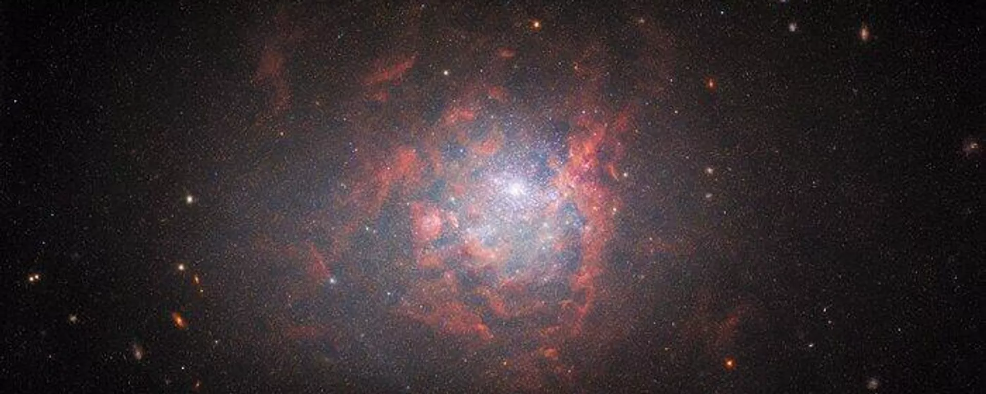 La galaxia enana NGC 1705 La galaxia enana NGC 1705 - Sputnik Mundo, 1920, 07.12.2022