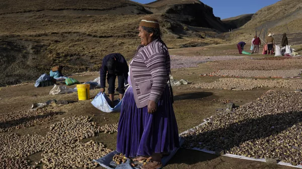 Las indígenas de Bolivia  - Sputnik Mundo