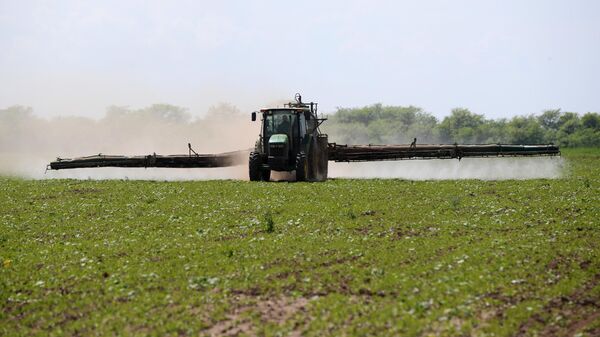 Agricultura (imagen referencial) - Sputnik Mundo