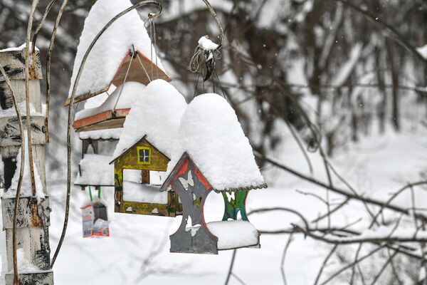 El 19 de diciembre, la cantidad de nieve que había caído alcanzó medio metro de altura en algunas zonas. - Sputnik Mundo