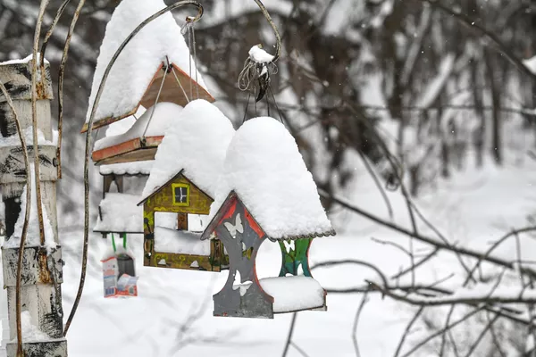 El 19 de diciembre, la cantidad de nieve que había caído alcanzó medio metro de altura en algunas zonas. El 19 de diciembre, la cantidad de nieve que había caído alcanzó medio metro de altura en algunas zonas. - Sputnik Mundo