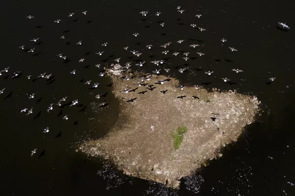 El lago Peñuelas contaba con agua suficiente para 38.000 piscinas olímpicas. Ahora es una enorme mancha de tierra reseca y agrietada llena de esqueletos de peces. El lago Peñuelas contaba con agua suficiente para 38.000 piscinas olímpicas. Ahora es una enorme mancha de tierra reseca y agrietada llena de esqueletos de peces. - Sputnik Mundo