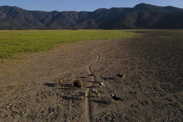 La principal causa de la sequía es el cambio climático. Debido al aumento de las temperaturas, la nieve de los Andes, antes una reserva de agua de deshielo para la primavera y el verano, se derrite rápidamente sin acumularse. Asimismo, influyen los factores antropogénicos. La principal causa de la sequía es el cambio climático. Debido al aumento de las temperaturas, la nieve de los Andes, antes una reserva de agua de deshielo para la primavera y el verano, se derrite rápidamente sin acumularse. Asimismo, influyen los factores antropogénicos. - Sputnik Mundo