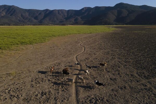 La principal causa de la sequía es el cambio climático. Debido al aumento de las temperaturas, la nieve de los Andes, antes una reserva de agua de deshielo para la primavera y el verano, se derrite rápidamente sin acumularse. Asimismo, influyen los factores antropogénicos. - Sputnik Mundo