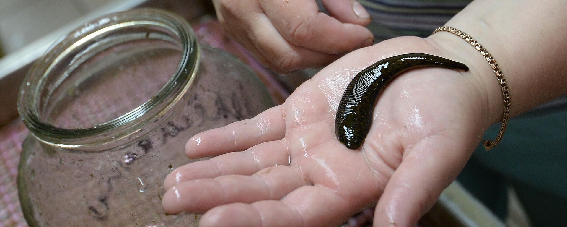 Una sanguijuela  - Sputnik Mundo, 1920, 24.12.2022