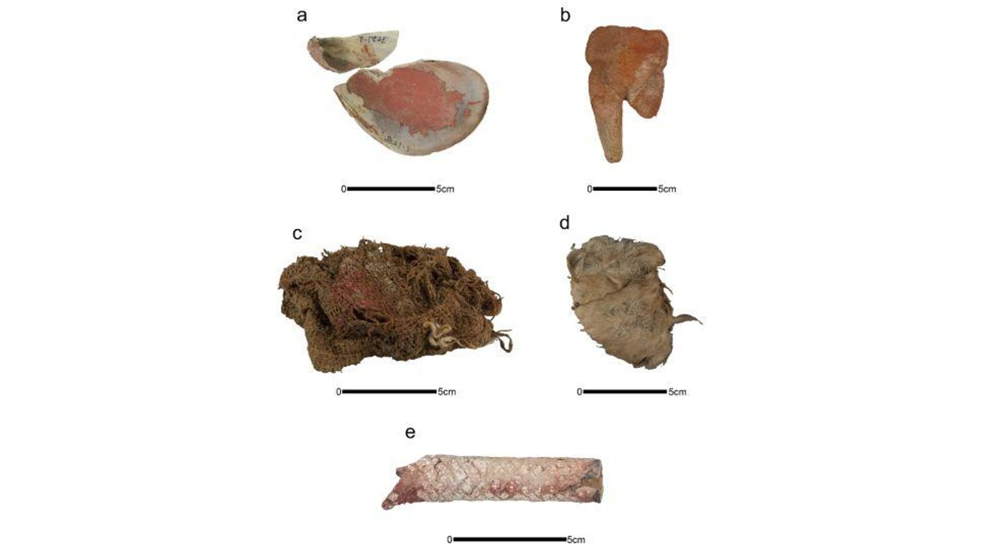 Material y restos óseos con pigmento rojo: a) recipiente de concha, b) figurilla de cerámica, c) textil, d) ave modificada, e) hueso trabajado envuelto en hilo. - Sputnik Mundo, 1920, 24.12.2022