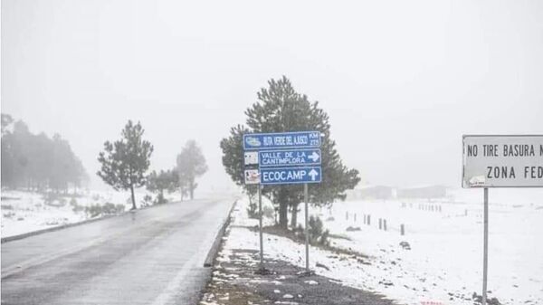 La zona del Ajusco, al sur de la Ciudad de México, cubierta de nieve - Sputnik Mundo