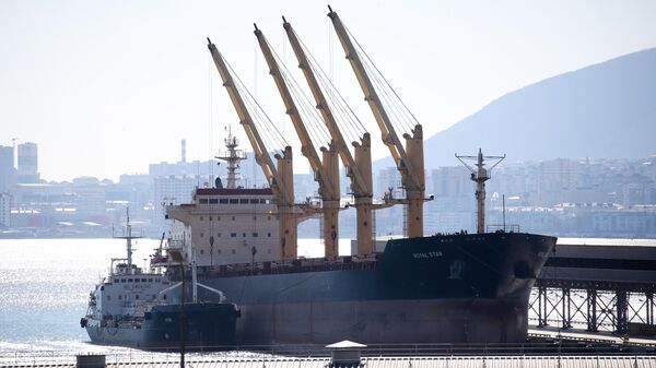 Un buque de carga en un puerto de Rusia - Sputnik Mundo