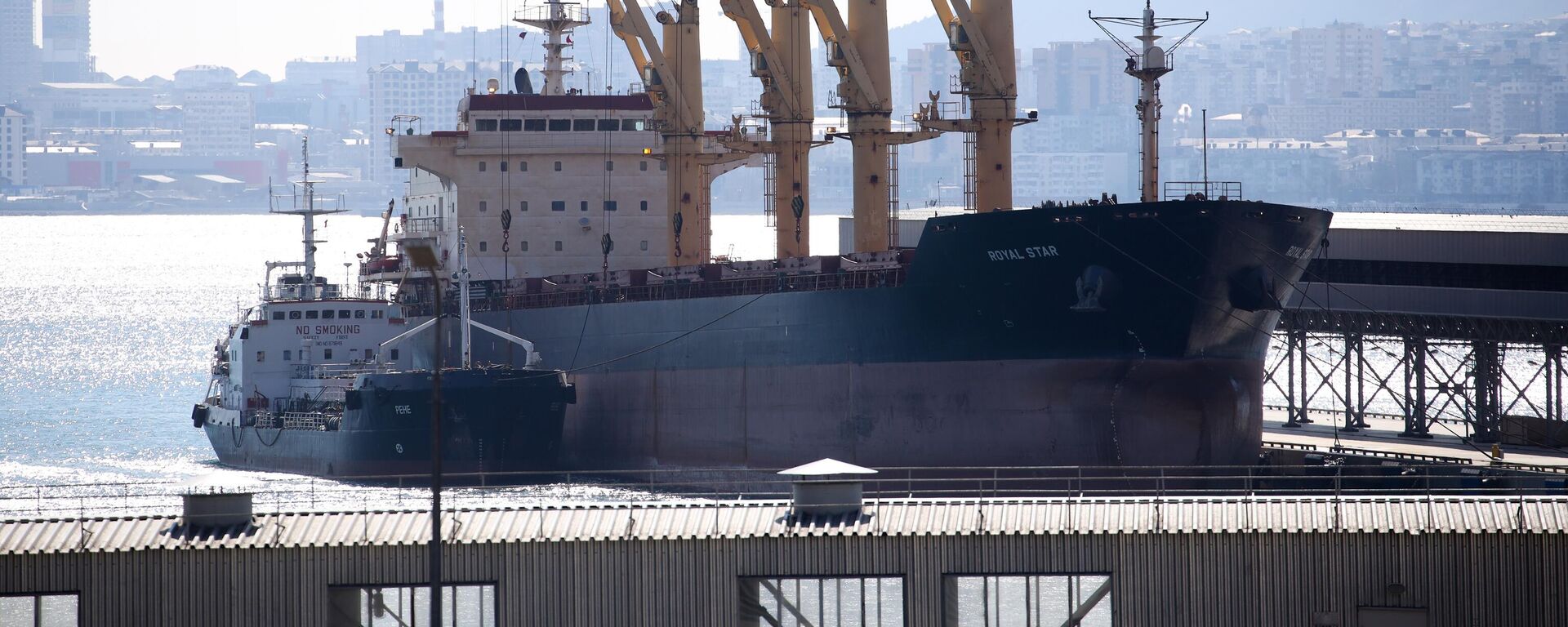 Un buque de carga en un puerto de Rusia - Sputnik Mundo, 1920, 28.12.2022