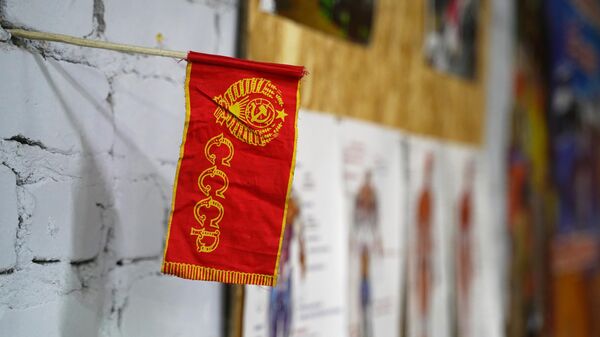 Una bandera con el símbolo de la URSS - Sputnik Mundo