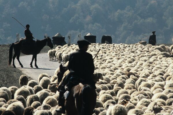Los expertos citan el debilitamiento del centro soviético tras la perestroika de Mijaíl Gorbachov y el auge de los sentimientos separatistas en las repúblicas nacionales como las principales causas de la desintegración. El declive de la eficiencia de la economía y la falta de reformas de mercado también desempeñaron un papel importante. Junto con la ruptura del Partido Comunista de la Unión Soviética y la abolición de la ideología comunista, el primer Estado socialista de la historia desapareció del mapa mundial después de existir 70 años.En la foto: pastores trasladando ovejas a un nuevo pasto en un pueblo de la RSS de Azerbaiyán, 1989. - Sputnik Mundo