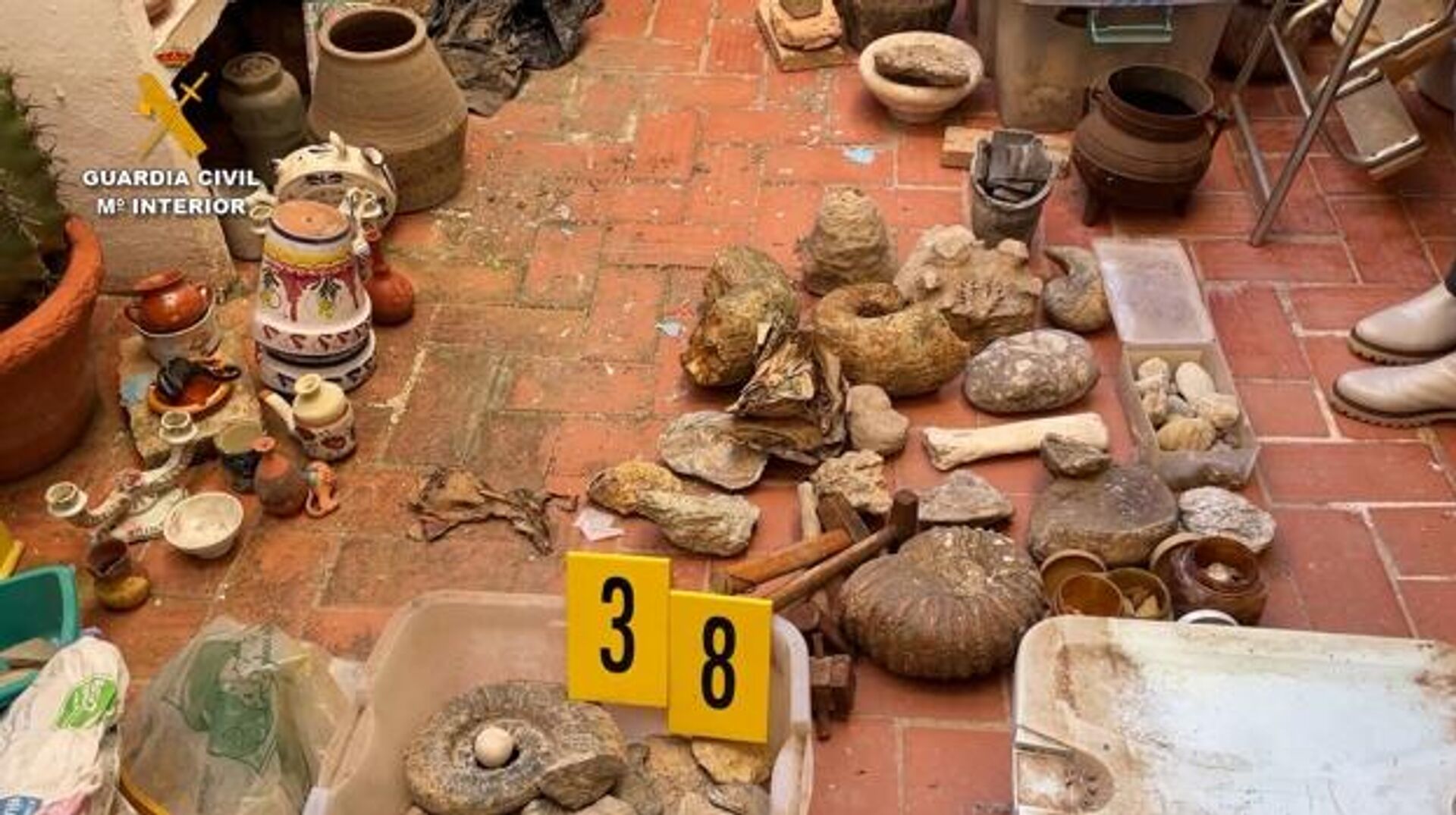 Restos óseos de una de las mayores colecciones arqueológicas ilegales de la provincia de Alicante - Sputnik Mundo, 1920, 30.12.2022