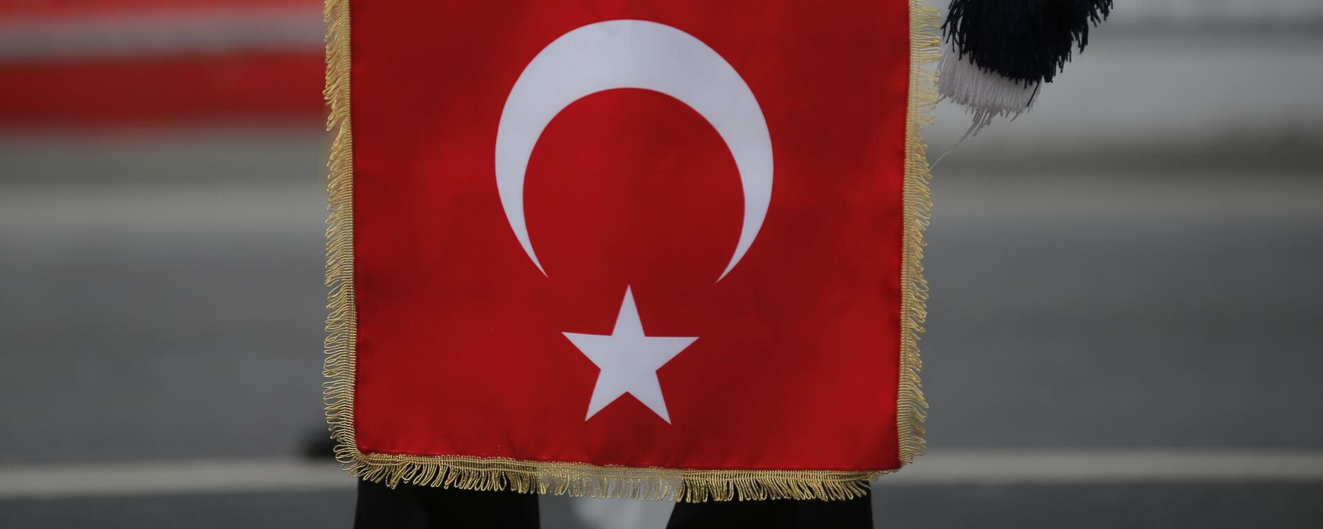 Bandera de Turquía - Sputnik Mundo, 1920, 06.09.2024