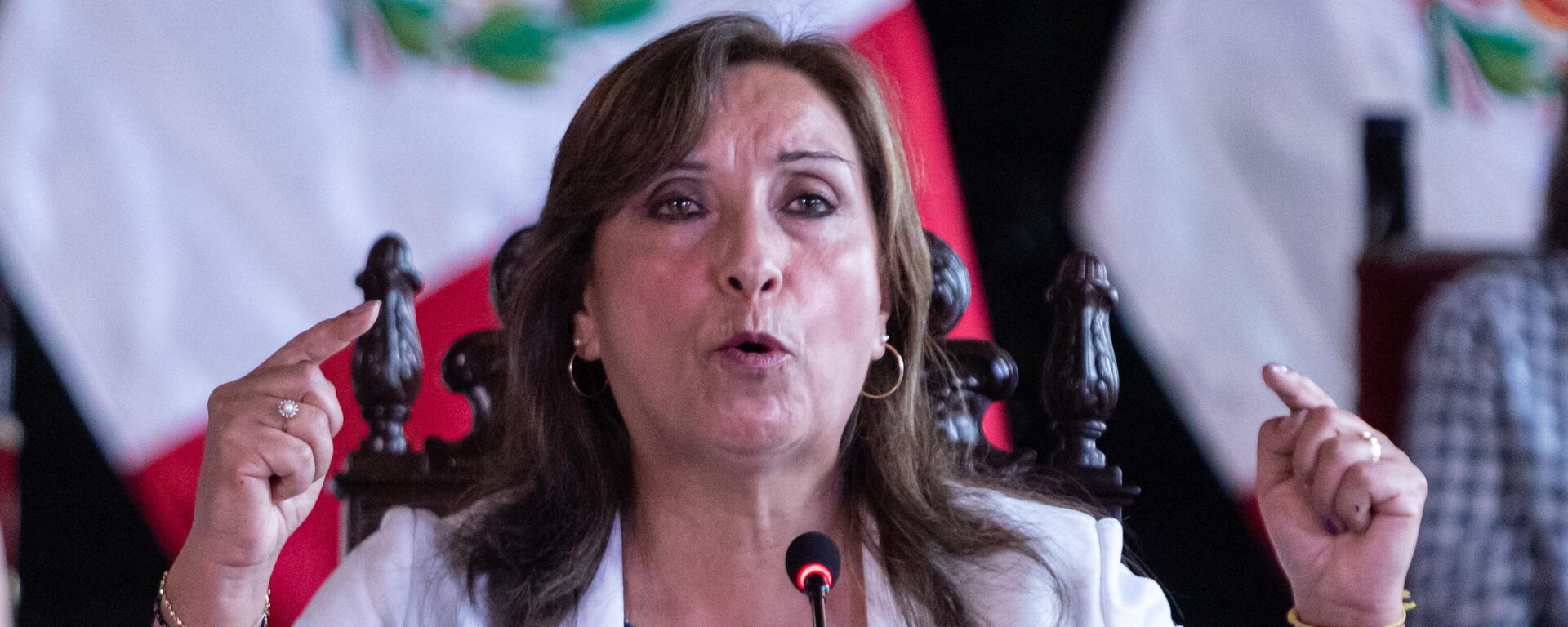  Dina Boluarte, la presidenta de Perú - Sputnik Mundo, 1920, 14.01.2023