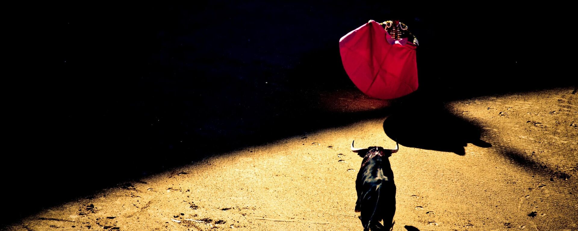 Un torero frente a un toro - Sputnik Mundo, 1920, 12.01.2023