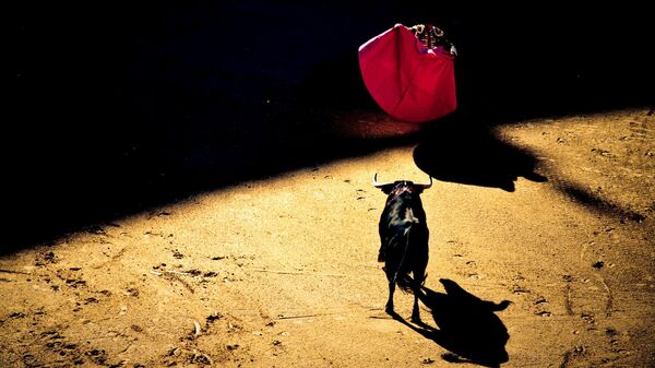 Un torero frente a un toro - Sputnik Mundo