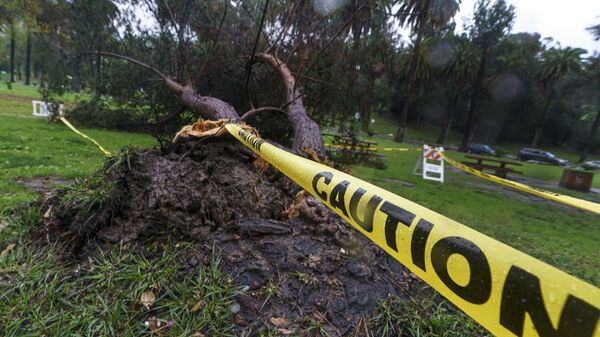 Tormenta invernal en California, EEUU - Sputnik Mundo