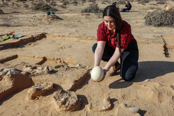 Arqueólogos de la Autoridad de Antigüedades de Israel descubrieron las cáscaras de ocho huevos de avestruz junto a un pozo de fuego en el desierto. Uno de los huevos estaba en la propia hoguera.En la foto: un arqueólogo muestra un huevo de avestruz fresco para compararlo con los fragmentos hallados. Arqueólogos de la Autoridad de Antigüedades de Israel descubrieron las cáscaras de ocho huevos de avestruz junto a un pozo de fuego en el desierto. Uno de los huevos estaba en la propia hoguera.En la foto: un arqueólogo muestra un huevo de avestruz fresco para compararlo con los fragmentos hallados. - Sputnik Mundo