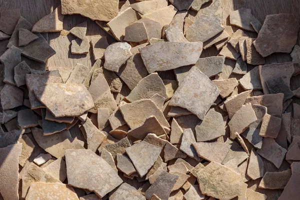 Se calcula que el hallazgo tiene entre 4.000 y 7.500 años de antigüedad. La zona en la que se realizó se cubre rápidamente de dunas, lo que garantizó su excepcional conservación. Se calcula que el hallazgo tiene entre 4.000 y 7.500 años de antigüedad. La zona en la que se realizó se cubre rápidamente de dunas, lo que garantizó su excepcional conservación. - Sputnik Mundo