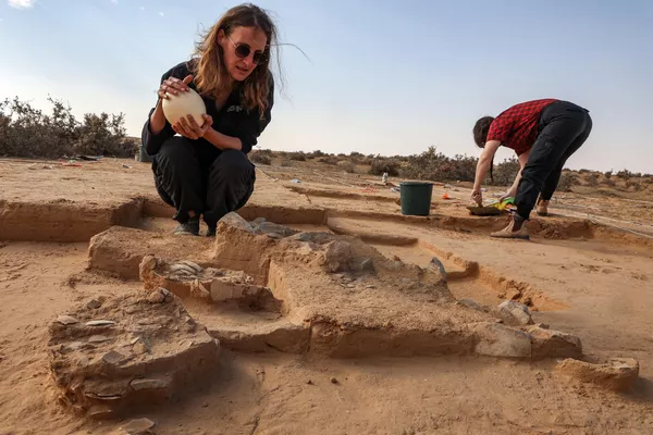 En la actualidad, no hay avestruces en Israel, pero estas aves gigantes estuvieron presentes en la región durante mucho tiempo antes de extinguirse en el siglo XIX. En la actualidad, no hay avestruces en Israel, pero estas aves gigantes estuvieron presentes en la región durante mucho tiempo antes de extinguirse en el siglo XIX. - Sputnik Mundo