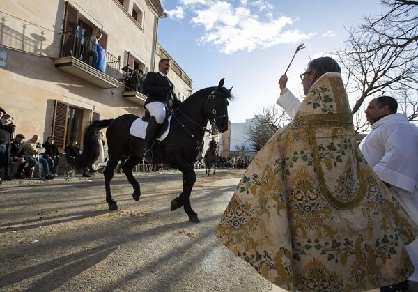 El Día de San Antonio, los españoles se permiten todo tipo de mimos para sus mascotas. La fiesta termina con un grandioso espectáculo de fuegos artificiales.En la foto: un sacerdote bendice un caballo durante las 'Beneides' (Bendiciones en lengua mallorquina) en Mallorca. - Sputnik Mundo