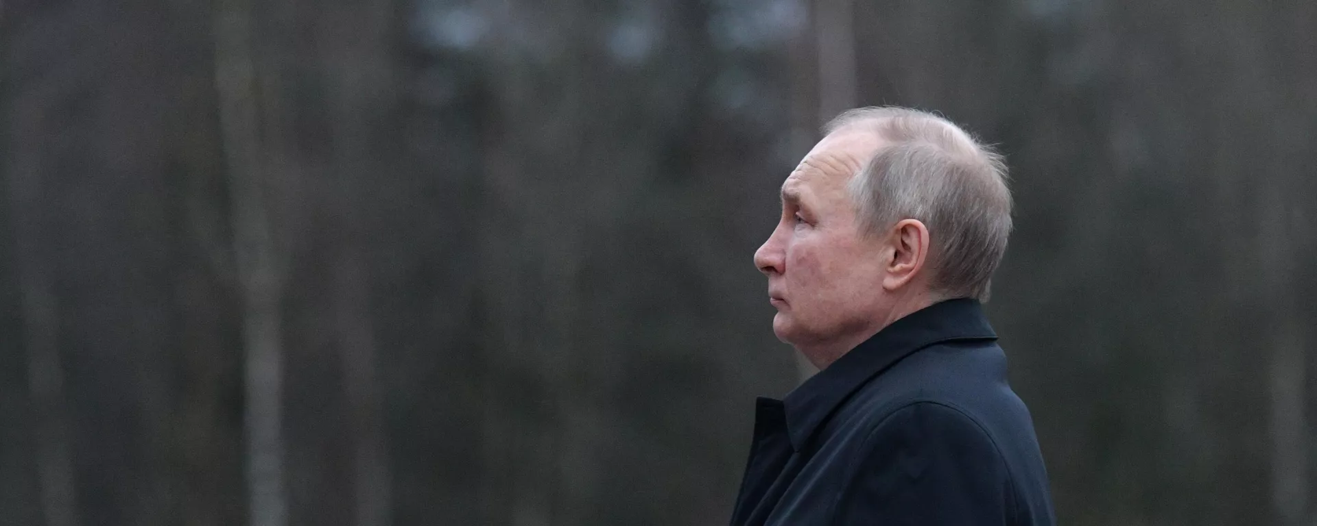 El presidente ruso, Vladímir Putin - Sputnik Mundo, 1920, 18.03.2023