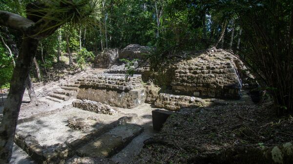 Excavación de la antigua ciudad de El Mirador, en el norte de Guatemala. - Sputnik Mundo