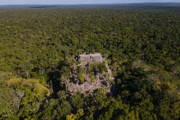 Los resultados de la exploración indican que El Mirador era un asentamiento densamente edificado: el volumen total de edificios por km² superaba los 4,8 millones de m³.En la foto: vista aérea del complejo La Danta en la antigua ciudad de El Mirador, en el norte de Guatemala. - Sputnik Mundo