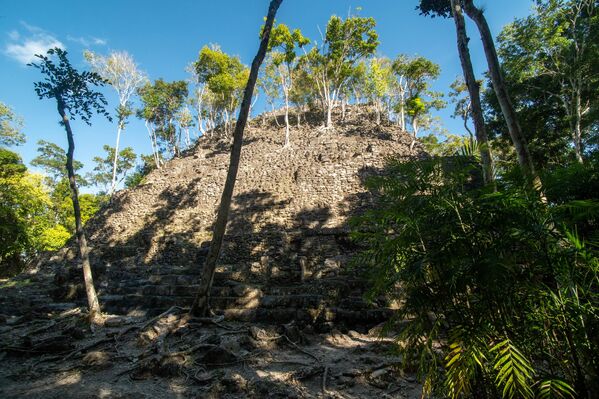 El complejo de La Danta es el edificio más grande de El Mirador, 72 metros por encima del terreno circundante. Se construyó sobre una colina natural, lo que permitió a los antiguos arquitectos crear un conjunto de terrazas, pirámides y templos. - Sputnik Mundo