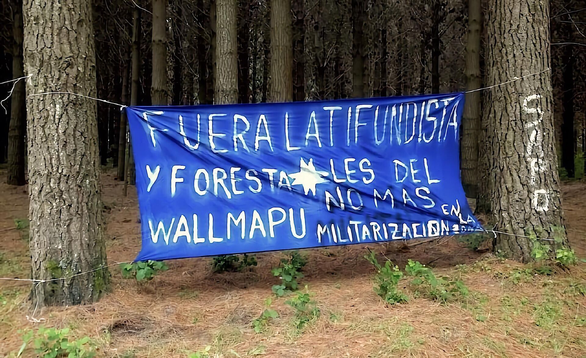 Cartel contra la militarización del Wallmapu - Sputnik Mundo, 1920, 31.01.2023