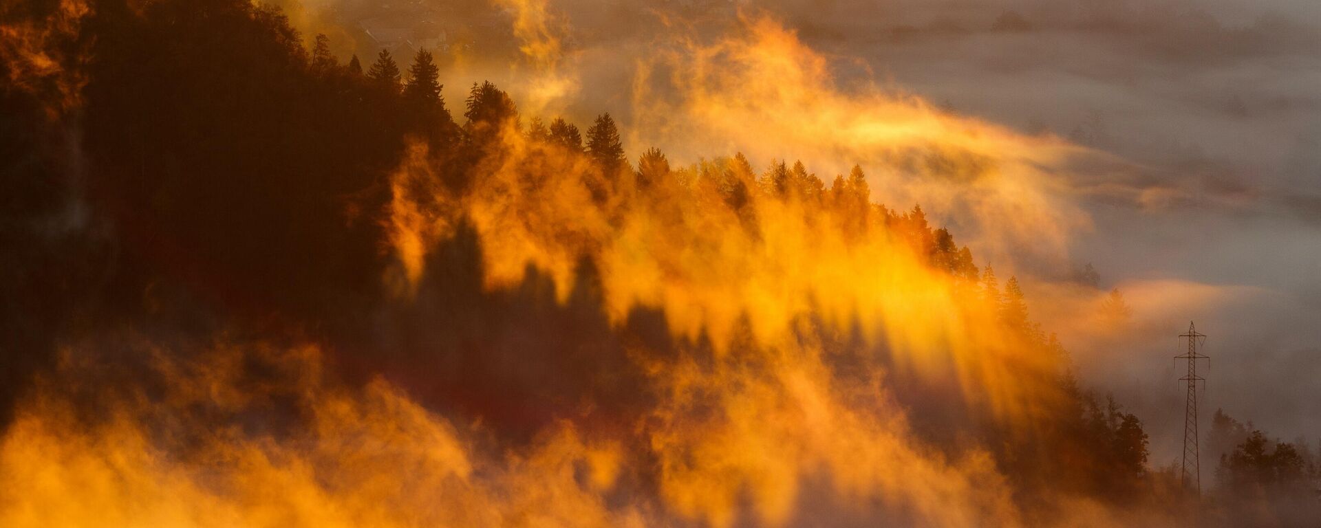 Un incendio forestal (imagen referencial) - Sputnik Mundo, 1920, 31.08.2024