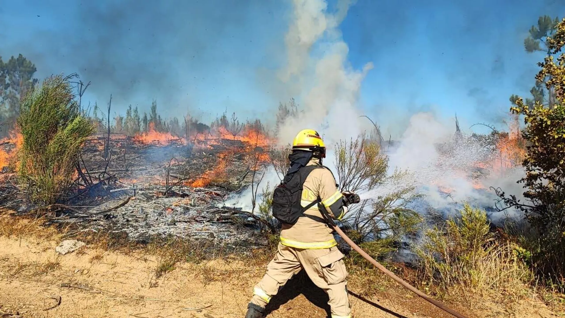 Bomberos en el sur de Chile