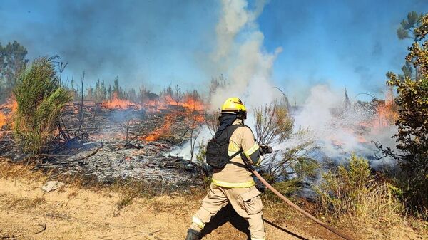 Bomberos en el sur de Chile - Sputnik Mundo