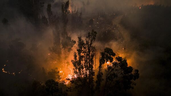 Incendios forestales en Chile - Sputnik Mundo