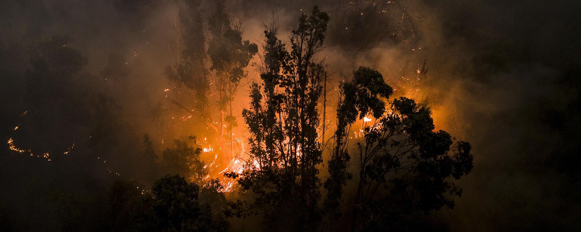 Incendios forestales (imagen referencial) - Sputnik Mundo, 1920, 26.07.2023