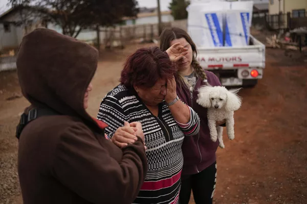 Entre los fallecidos hay dos hombres y una mujer que participaron en la extinción de los incendios, así como varias personas que sufrieron accidentes mortales cuando intentaban huir de las zonas peligrosas.En la foto: vecinos consuelan a una mujer que perdió su casa durante el incendio forestal en Tome. Entre los fallecidos hay dos hombres y una mujer que participaron en la extinción de los incendios, así como varias personas que sufrieron accidentes mortales cuando intentaban huir de las zonas peligrosas.En la foto: vecinos consuelan a una mujer que perdió su casa durante el incendio forestal en Tome. - Sputnik Mundo