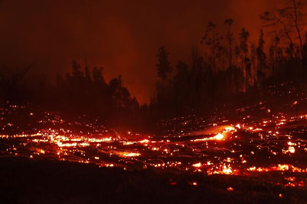 De acuerdo con los reportes del Ministerio del Interior chileno, más de 45.000 hectáreas de bosque fueron devorados por el fuego. Actualmente hay 251 incendios activos en el país.En la foto: un incendio forestal cerca de la ciudad de Puren. De acuerdo con los reportes del Ministerio del Interior chileno, más de 45.000 hectáreas de bosque fueron devorados por el fuego. Actualmente hay 251 incendios activos en el país.En la foto: un incendio forestal cerca de la ciudad de Puren. - Sputnik Mundo